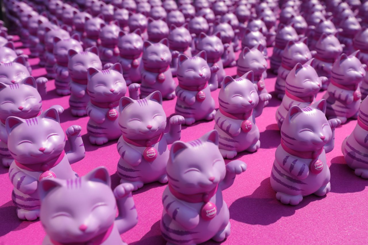 Imagine WHISKAS®